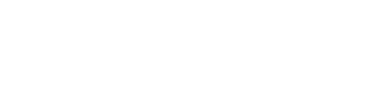 chronica